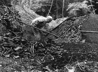  Image name: 24 Carbonai.jpg 
 width: 400 pixel 
 height: 292 pixel 
 Size: 34260 bytes 
 Click to enlarge 